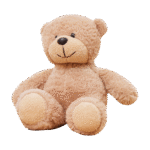Teddy bear